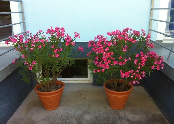 Blue Mediterran House Apartman Balatonfüred